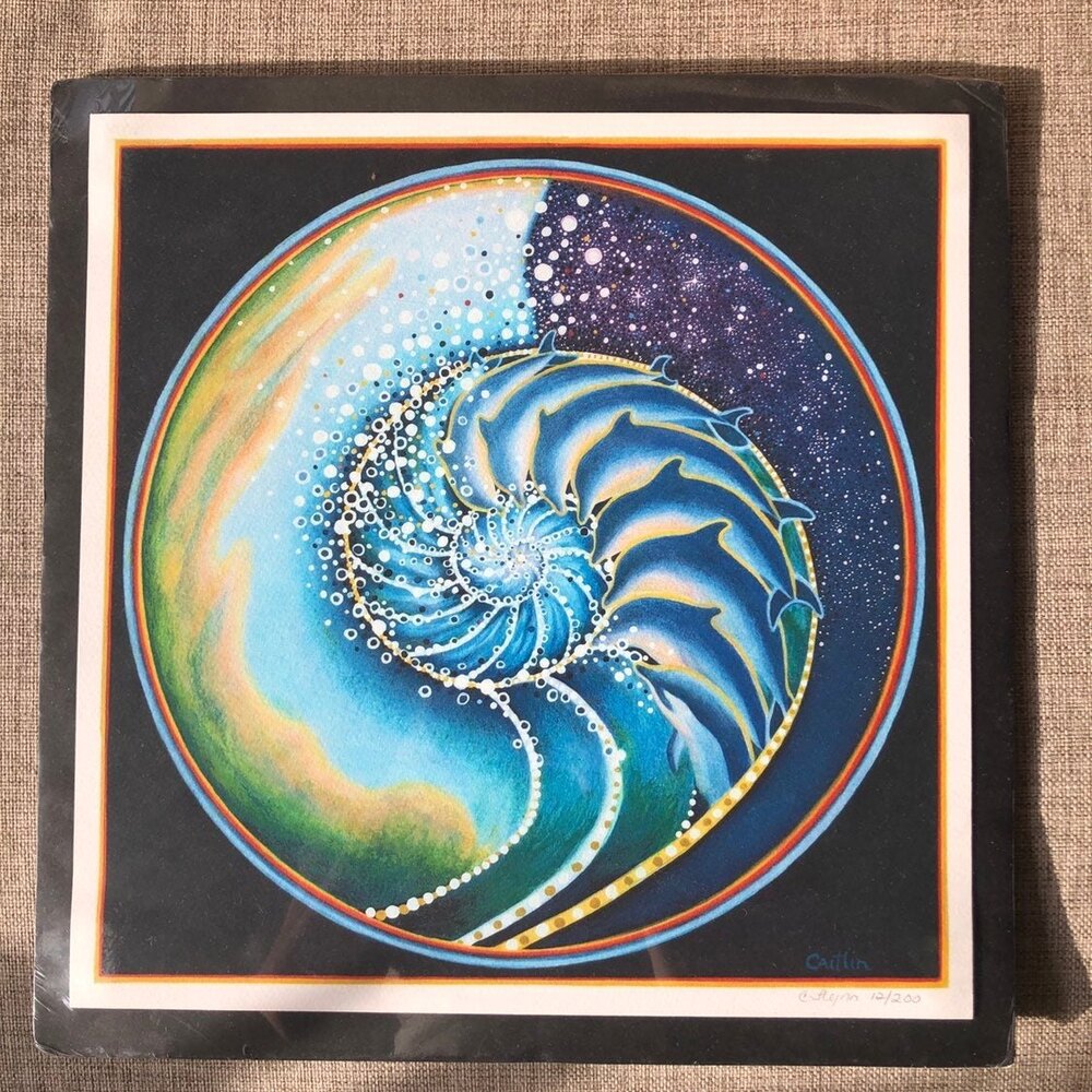 One World Art Giclee Print Certificate Dolphin Dreams by Caitlin Flynn Painting